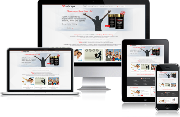 responsive website